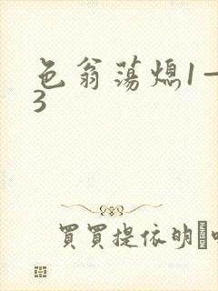 色翁荡熄1—13封面