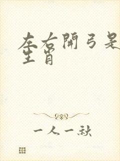 左右开弓是什么生肖