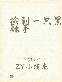 捡到一只黑心小触手封面