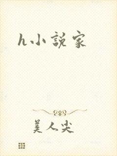 h小说家