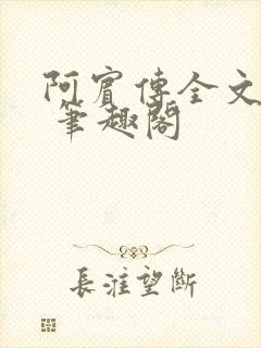 阿宾传全文阅读 笔趣阁