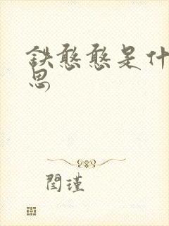 铁憨憨是什么意思封面