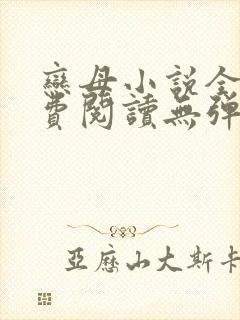 恋母小说全文免费阅读无弹窗笔趣阁封面