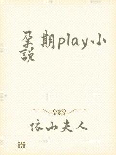 孕期play小说