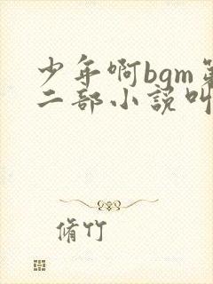 少年啊bgm第二部小说叫什么