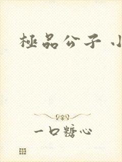 极品公子 小说封面