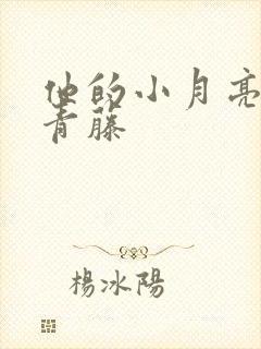 他的小月亮by青藤