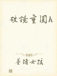破镜重圆h
