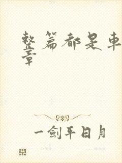 整篇都是车的文章