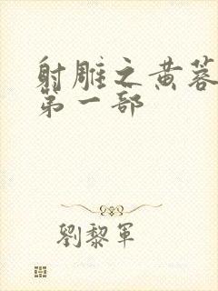 射雕之黄蓉新传第一部封面