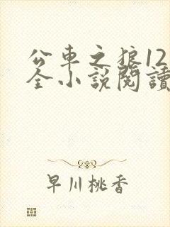 公车之狼12集全小说阅读封面