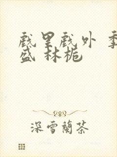 戏里戏外 季淮盛 林栀