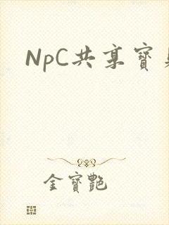 NpC共享宝贝