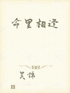 命里相逢封面