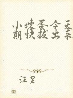 小坏蛋今天危险期快拔出来