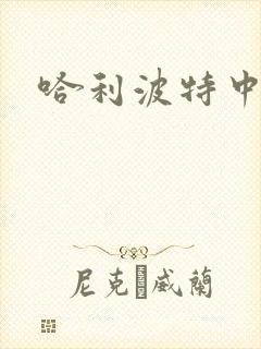 哈利波特中文版