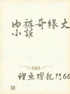 内裤奇缘大团结小说封面