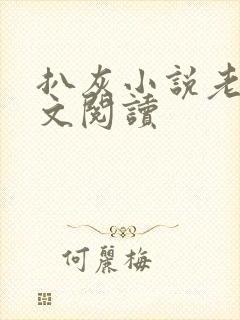 扒灰小说老马全文阅读封面