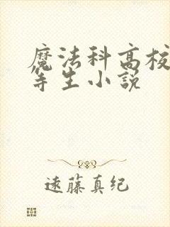 魔法科高校的劣等生小说封面