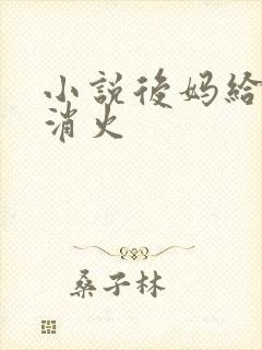 小说后妈给我消消火