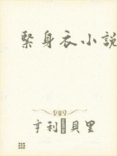 紧身衣小说