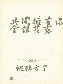 共同拥有你by金银花露封面