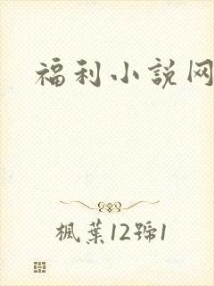 福利小说网