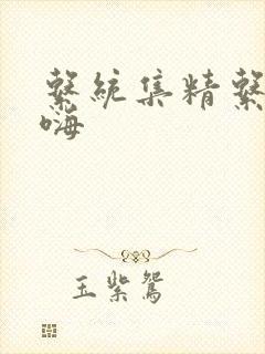 系统集精系统高嗨