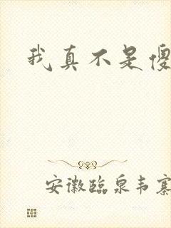 我真不是傻子封面