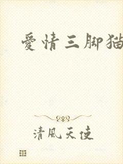 爱情三脚猫
