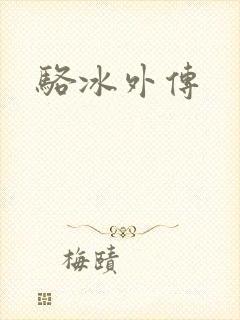 骆冰外传
