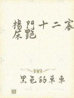 杨门十二寡妇肉床艳