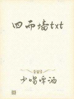 四面墙txt封面