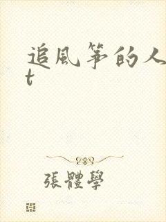 追风筝的人txt