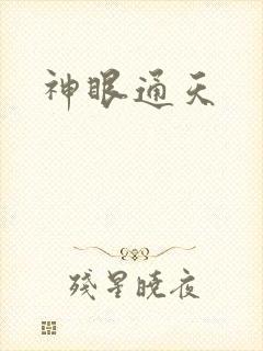 神眼通天