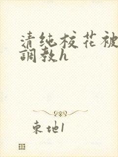 清纯校花被地狱调教h