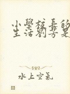 小学校长的幸福生活刘芳是谁