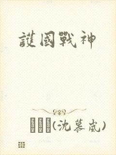护国战神