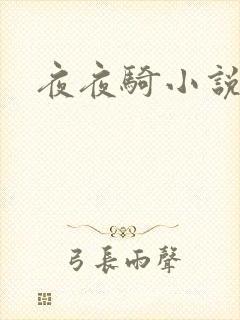 夜夜骑小说