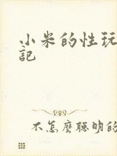 小米的性玩具日记