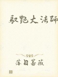 驭艳大法师封面