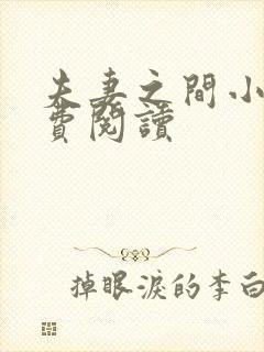 夫妻之间小说免费阅读封面