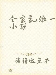 全家乱炖一锅烩小说