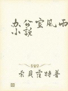 办公室风雨完整小说