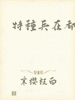 特种兵在都市