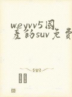 weyvv5国产的suv免费