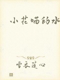 小花喵的水蜜桃