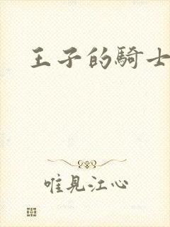 王子的骑士小说封面