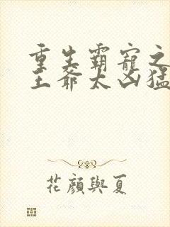 重生霸宠之摄政王爷太凶猛