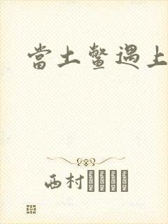 当土鳖遇上海龟